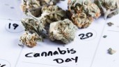 IMG Humboldt Seeds UK’ 2020 Cannabis Fair Calendar