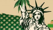 IMG At what stage is the legalization of recreational cannabis in New York?
