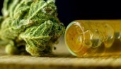 IMG Il potere della cannabis medicinale per combattere la fatica cronica