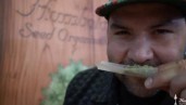 IMG Sherbinski : « Nous devons changer notre image et celle du cannabis »