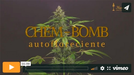 Vídeo Chem-Bomb Auto