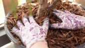 IMG Le Mulch: la couche protectrice de votre sol organique
