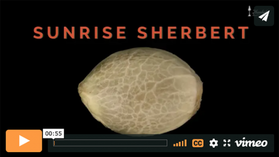 Vídeo Sunrise Sherbert