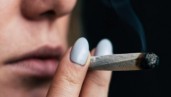 IMG A study suggests that women need less THC to obtain the same effects as men